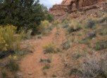 The original pioneer trail is clearly visible near the end of Cottonwood Canyon, Lamont Crabtree Photo